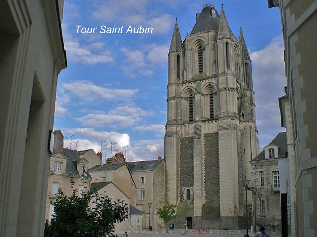 149 ANGERS MAINE ET LOIRE_000047.jpg